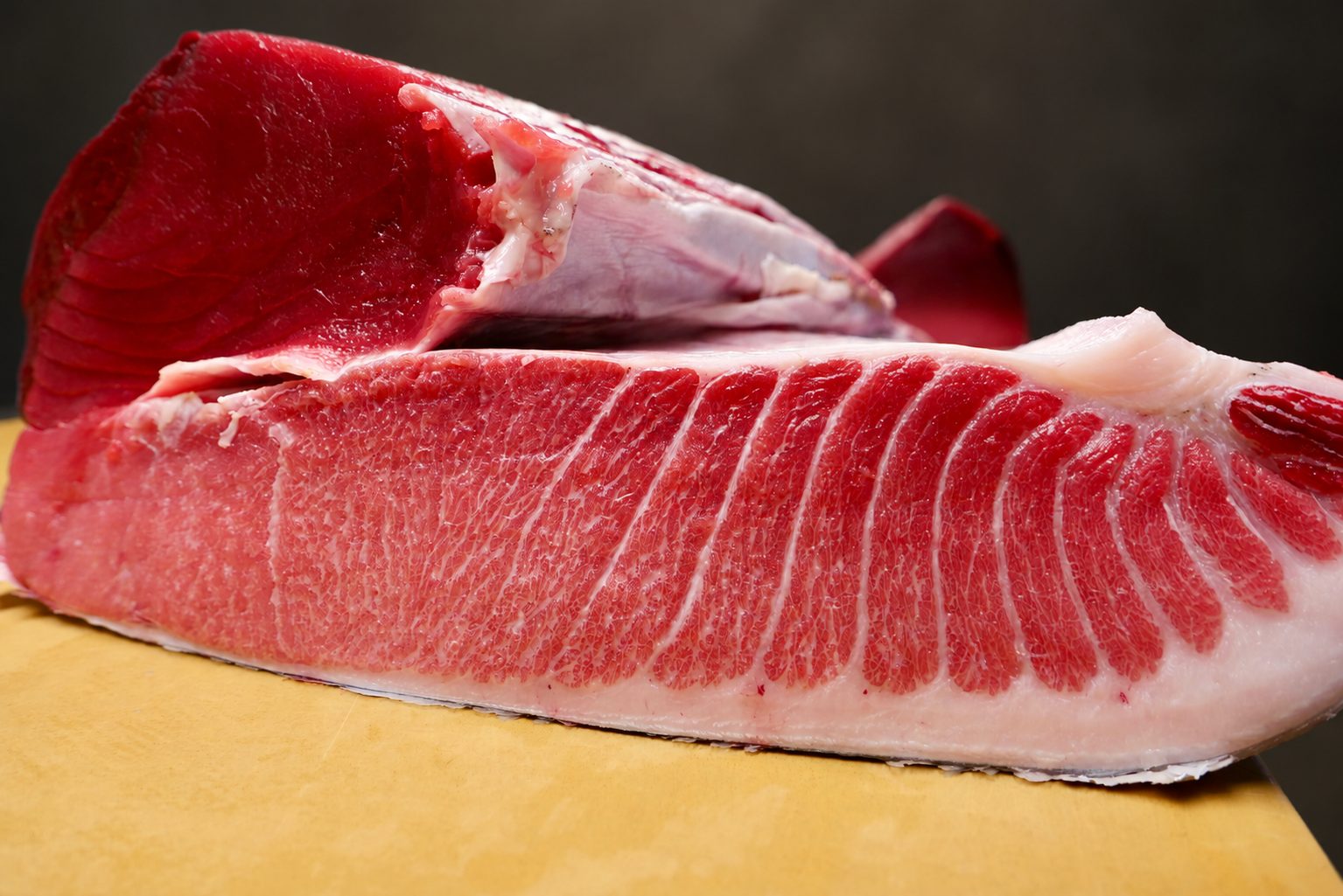 Taka’s 料理板上的新斯科舍蓝鳍金枪鱼背肉与腹肉,曾于2026年9月专题分享